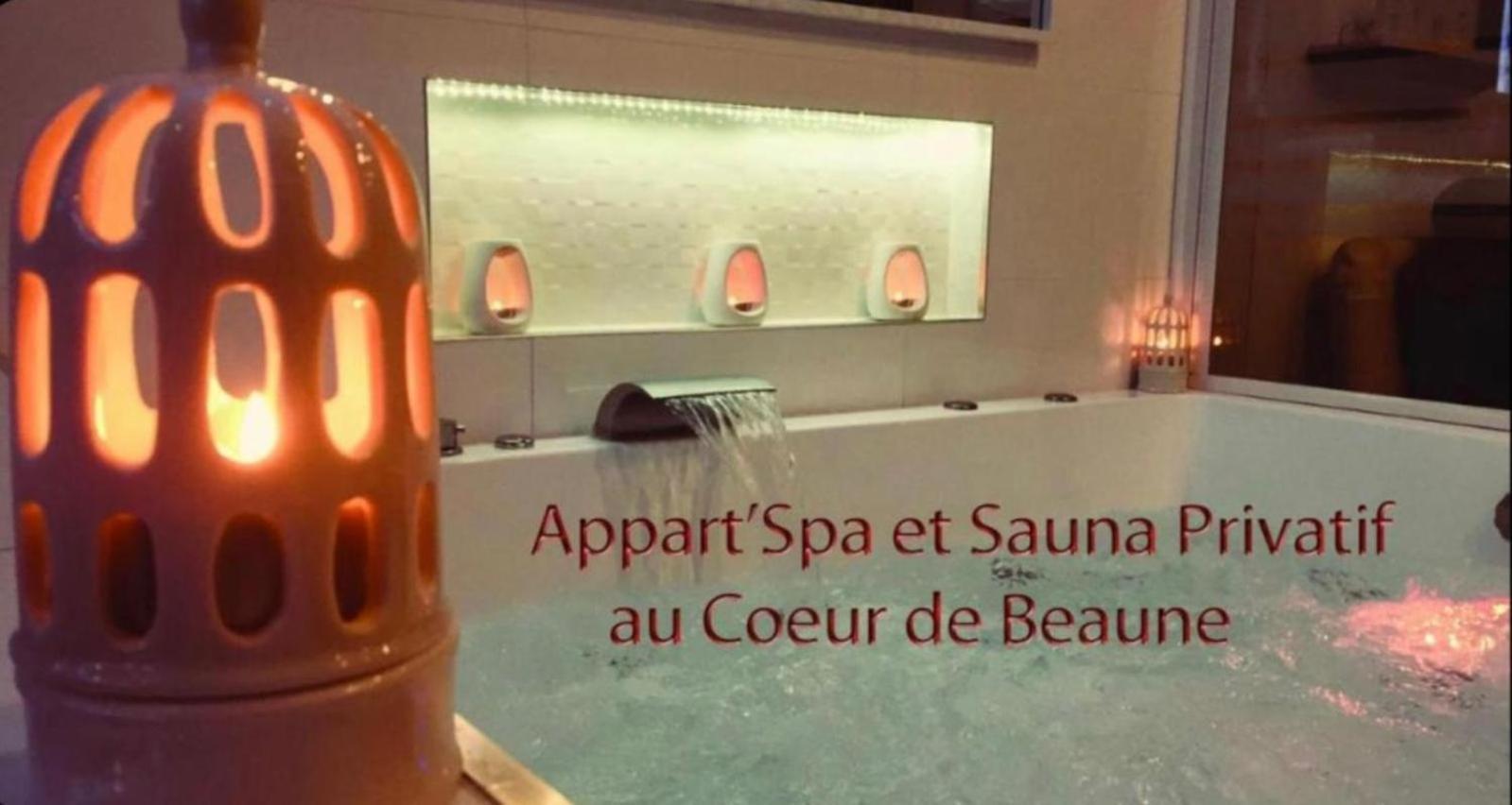 Appart' Spa et Sauna Privatif Au Cœur De Beaune Exterior foto